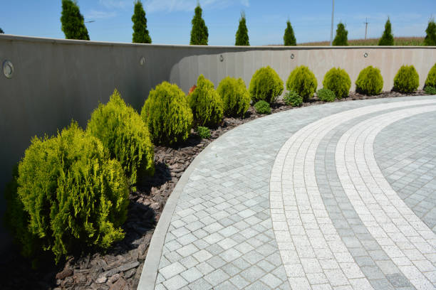 Best Residential Paver Driveway  in Burlington, ND